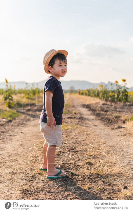 Happy little boy in green field cheerful sunflower excited nature carefree hat child smile joy childhood glad positive countryside freedom lifestyle adorable