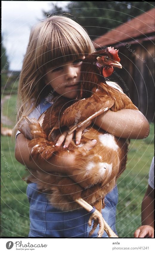 cuddly fowl Girl Barn fowl Farm Child Cuddling To hold on Catch Trophy Carrying