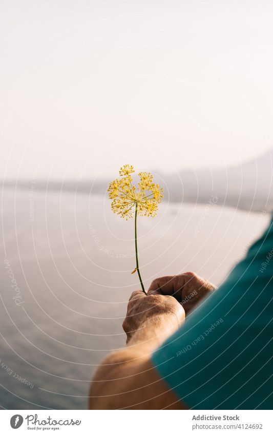 Man with flower standing on sea shore man hand summer seaside relax nature travel vacation male wildflower yellow holiday enjoy tourism beach ocean recreation