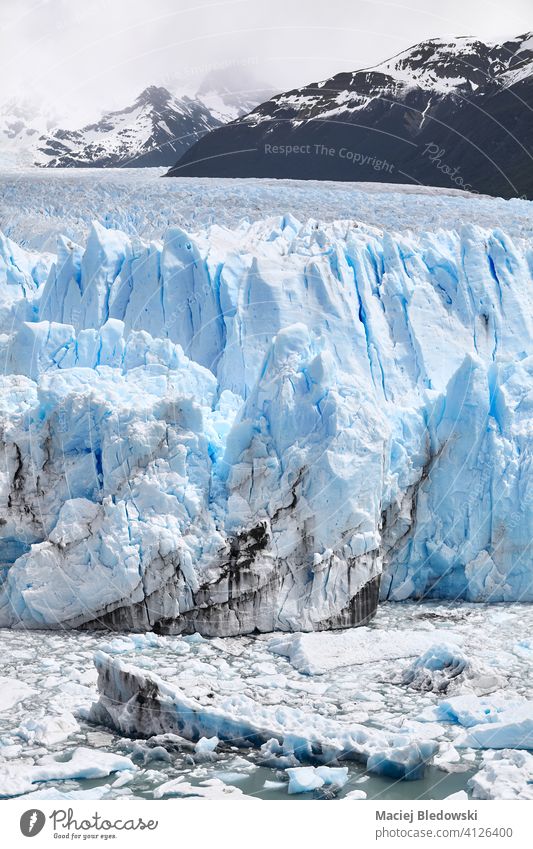 Ice calving from the terminus of the Perito Moreno Glacier in Patagonia, Argentina. glacier melt climate change environment polar nature ice Antarctica warming