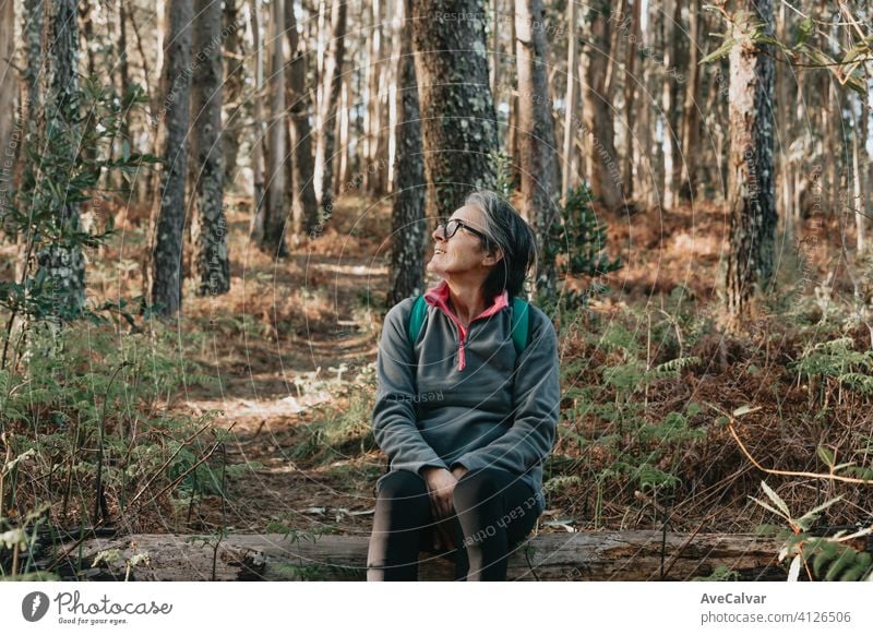 Old woman sitting over a trunk in the forest during a autumnal day with copy space, wellness trekking a jogging concepts person female elderly retirement senior