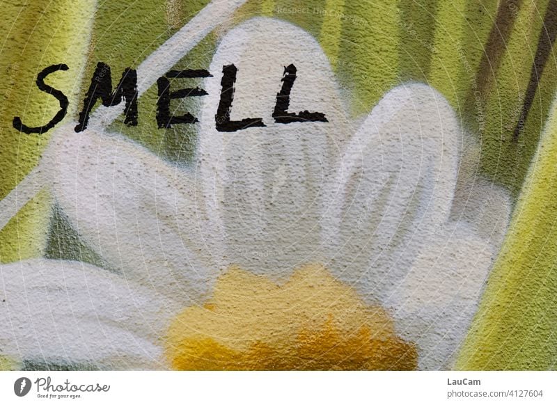 Graffiti of a white-yellow flower with the lettering "smell". Flower sniff mural painting street art house wall Yellow White Green Facade Wall (barrier)