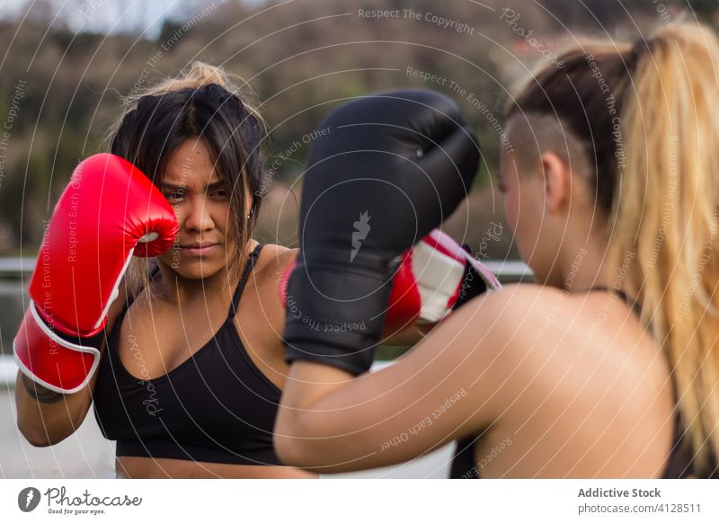 Female Boxer  Female boxers, Women boxing, Kick boxing girl