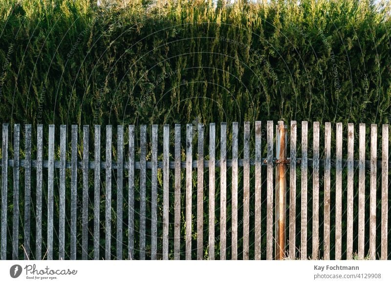 Hedge Behind Wooden Fence Around Property A Royalty Free Stock Photo From Photocase