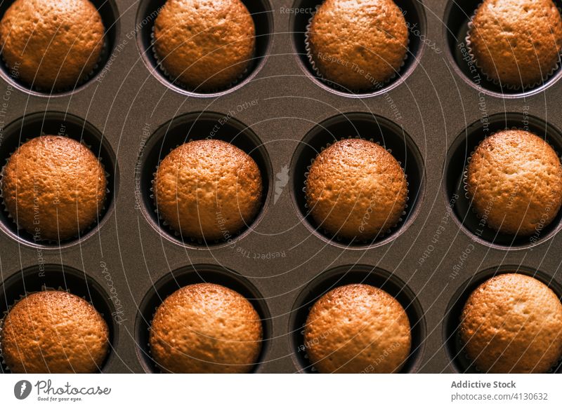 Tray of baked muffins tray delicious confectioner cook muffin case senior kitchen tasty table muffin tray dessert homemade bakery product paper muffin liner
