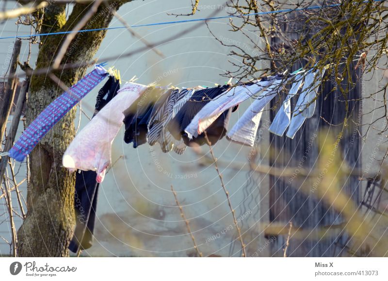 clothesline Living or residing Garden Weather Beautiful weather Wind Clothing Hang Fresh Wet Clean Dry Emotions Cleanliness Purity Clothesline Laundry Washing