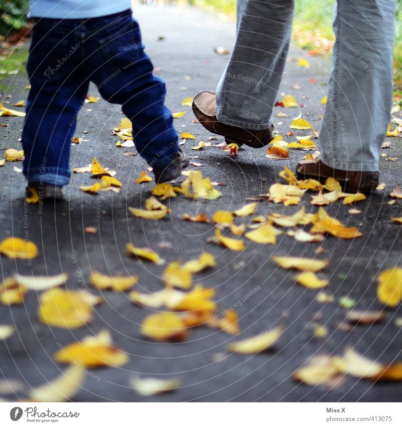 autumn walk Human being Baby Toddler Parents Adults Mother Father Family & Relations Infancy Life Legs Feet 2 1 - 3 years 18 - 30 years Youth (Young adults)