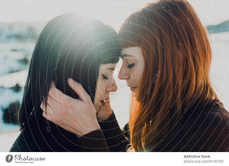 Couple of young women embracing in sunshine couple together embrace tender sensual charming girlfriend love affection relationship lesbian lgbt homosexual happy