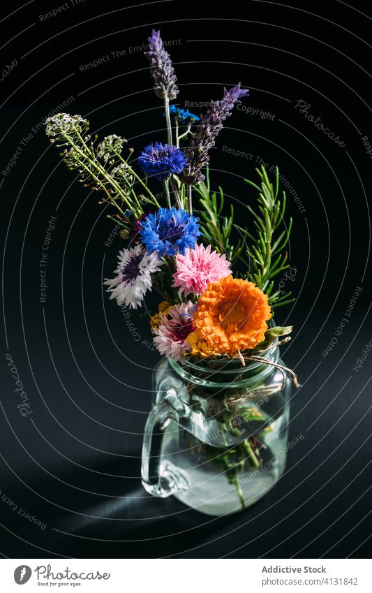 Vase with wildflowers in studio bouquet vase delicate colorful blossom fresh bloom floral bunch plant glass cup natural composition romantic petal water