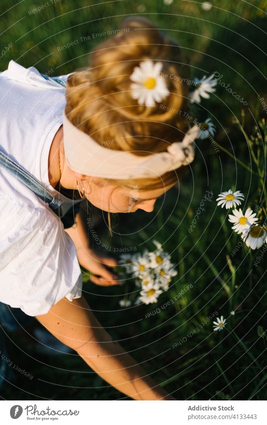 Calm female resting on green meadow in spring woman chamomile field rural pick collect smell calm enjoy bouquet fresh flower nature young bloom blossom relax