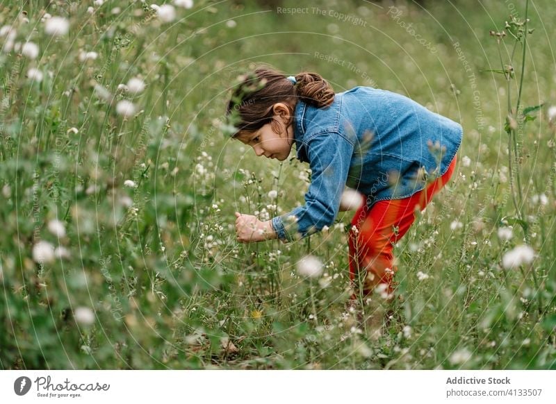 Adorable girl picking flowers on meadow field kid weekend enjoy curious child nature adorable explore tranquil freedom rest countryside childhood casual grass