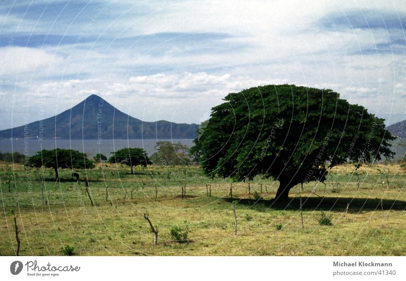 Momotombo Central America Tree Volcano Nicaragua Pasture Lake Managua