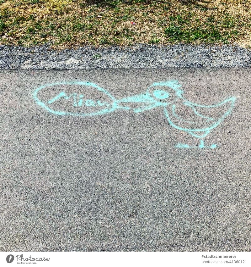 Duck meowing Chalk street art Drawing Chalk drawing Street Asphalt Exterior shot Colour photo Leisure and hobbies Street painting Deserted Cat Language