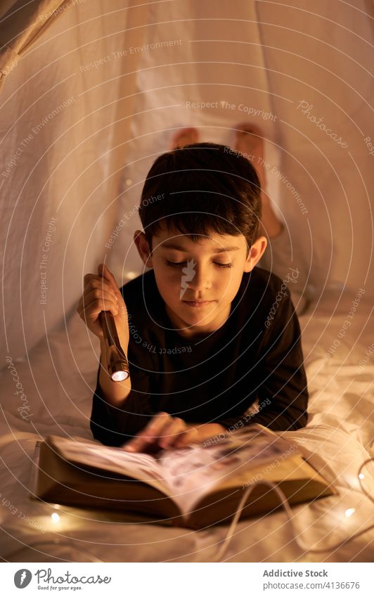 Concentrated boy reading fairytale in kids tent at home child book flashlight free time literature concentrated childhood calm lying interest harmony tranquil