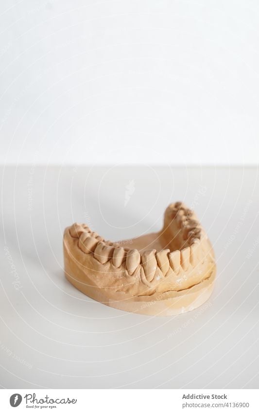 Dentist with denture in modern laboratory dentist prosthesis dental teeth medical health care stomatology dentistry medicine orthodontic work tooth orthodontist