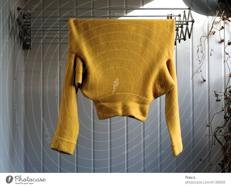 Surprise! A yellow sweater is aired. Ladies sweater Balcony Fashion Wall (building) Plant Wool Clothing Winter Tumble dryer Wool sweater Sweater