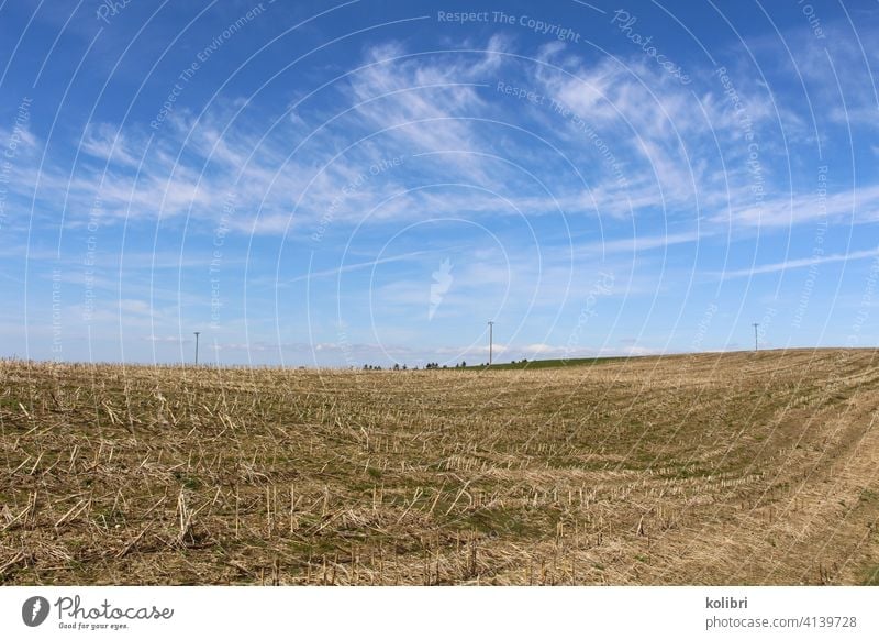 Stubble field or harvested field under blue sky with veil clouds Field Landscape Agriculture Deserted Colour photo Straw Exterior shot Beautiful weather Horizon