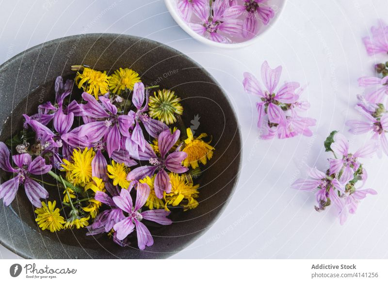 Yellow and mauve flowers in bowls on table mallow blossom bud bloom natural violet yellow creative romantic tender water studio plant fresh floral organic