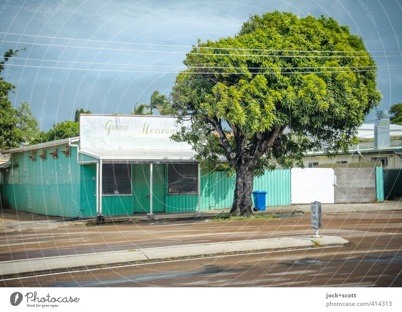 Douglas Street: Green Horizon Bar Climate change Warmth Tree House (Residential Structure) Canopy Store premises Street refuge Road sign Word Exotic Bright