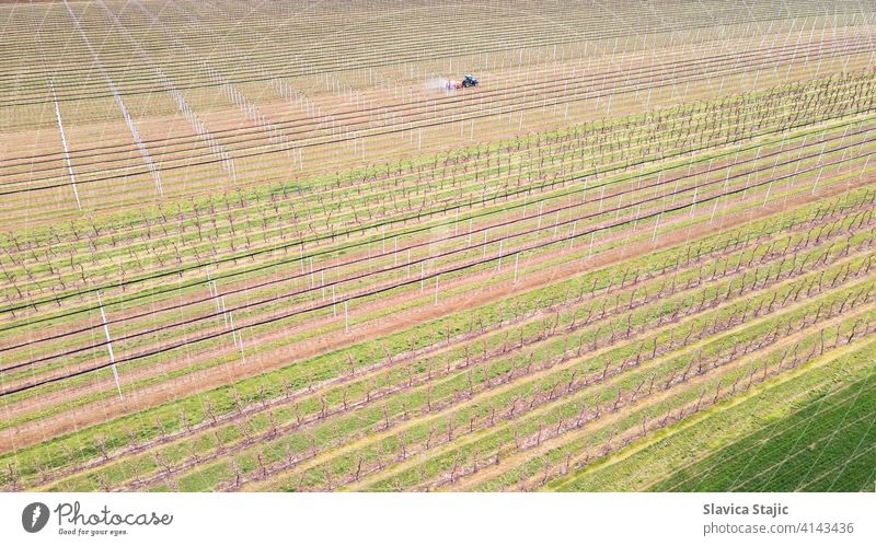 Aerial view of agricultural field in spring. Sprayer sprays orchard insecticide in orchard , spring season. above aerial agriculture agronomy brown combine