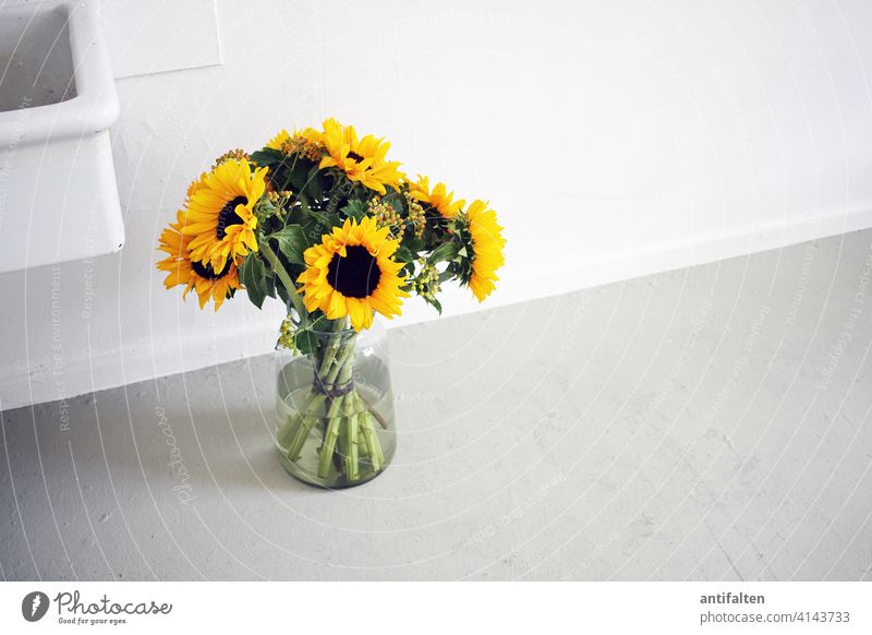 Still Life Bouquet flowers Vase Glass Sunflower Flower Colour photo Blossom Interior shot Decoration Blossoming Spring Nature Summer Green Day Leaf Atelier