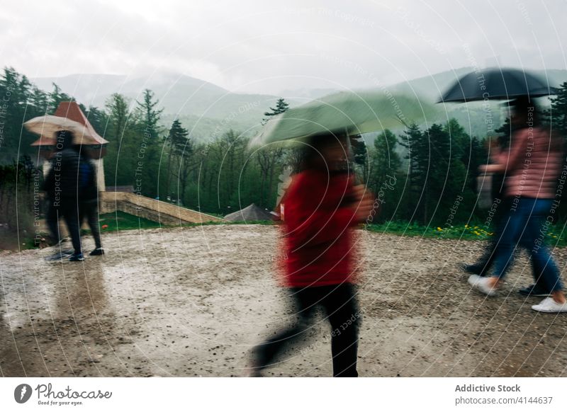 Unrecognizable people with umbrellas on hilltop walk rain scenery highland greenery picturesque nature overcast weather tourism travel warm clothes adventure