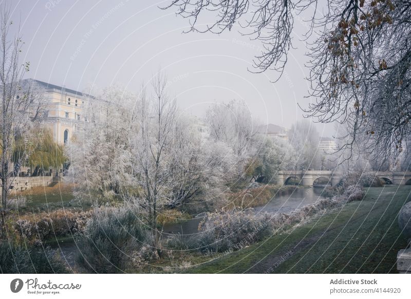 Picturesque park with trees in winter frost cold season garden river amazing calm burgos spain idyllic wintertime tranquil water ice freeze serene peaceful