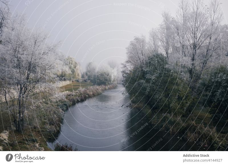 Picturesque park with trees in winter frost cold season garden river amazing calm burgos spain idyllic wintertime tranquil water ice freeze serene peaceful