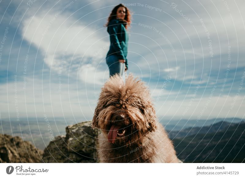 Funny dog near owner in mountains woman funny cloudy sky nature puerto de la morcuera spain tongue out journey rock adventure trip vacation happy pet