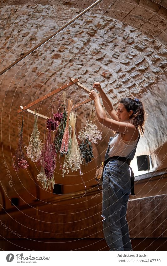 Woman hanging up dried flowers in building bouquet woman prepare aged ceiling dry female plant smile process stool decor old bunch tradition interior stand