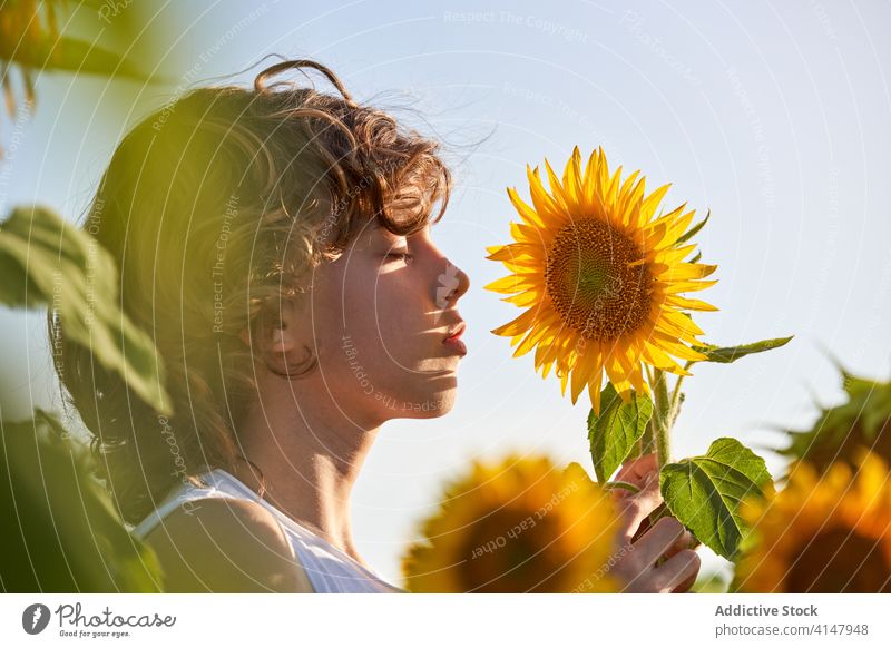 Cute child in blooming sunflower field boy enjoy smell summer aromatic meadow eyes closed blossom preteen nature fragrance countryside green yellow color kid