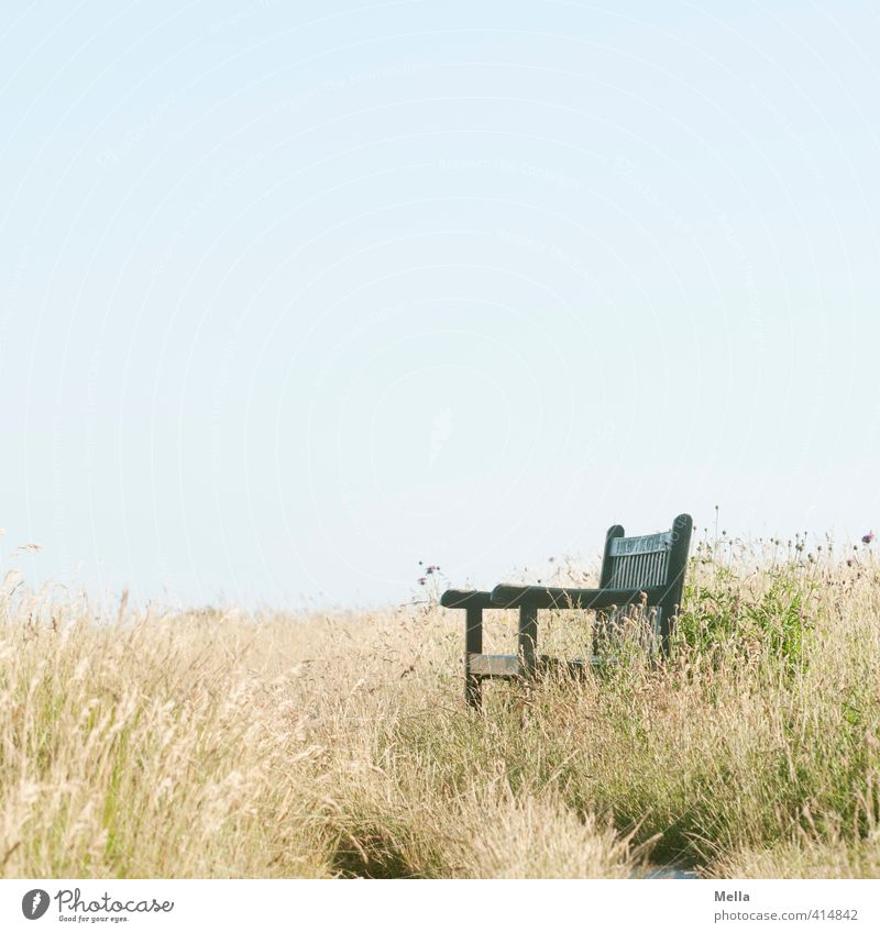 resting place Environment Nature Landscape Summer Grass Meadow Bench Relaxation Natural Longing Break Calm Time Empty Free Seating Colour photo Exterior shot