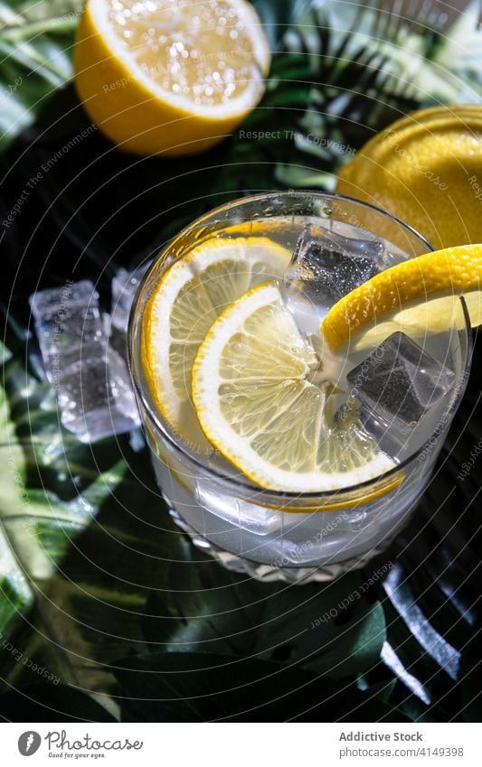 Glass of alcohol cocktail on table drink lemon cold refreshment ice cube glass cool liquid citrus slice bar beverage pub fruit juice tasty delicious liquor