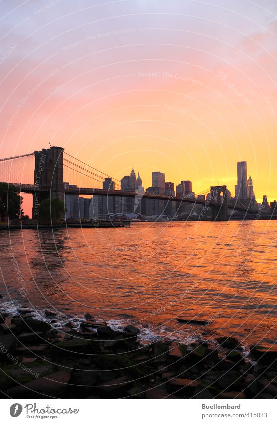 Brooklyn Bridge and New York Skyline in the evening Vacation & Travel Tourism Sightseeing City trip Architecture Water Sunrise Sunset Beautiful weather Rock