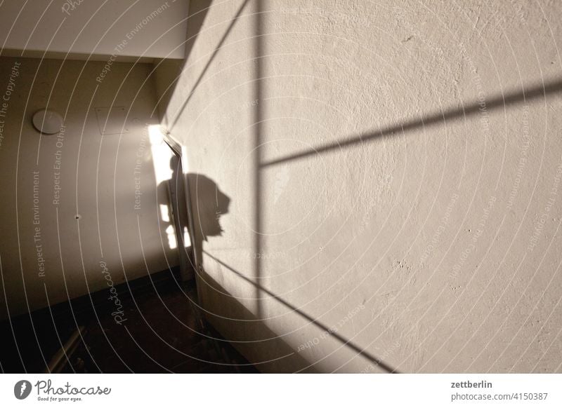 Shadows in the staircase sales Descent Downward Old building ascent Upward House (Residential Structure) Light Man Apartment house Human being Deserted