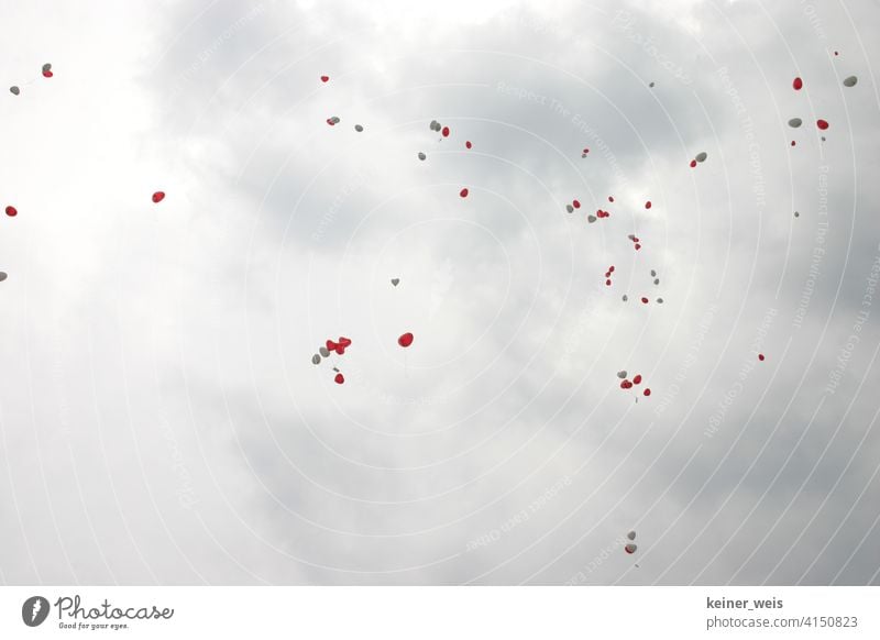 Red and white balloons in grey cloudy sky Heart-shaped White Piece of paper cards Many Flying Wedding Gray Clouds Weather Rainy weather quantity Hover romantic