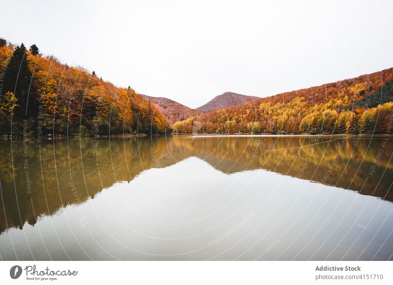 Calm lake in autumn forest irati forest pond calm peaceful landscape orange fall navarra navarre spain tree nature tranquil water woods idyllic serene