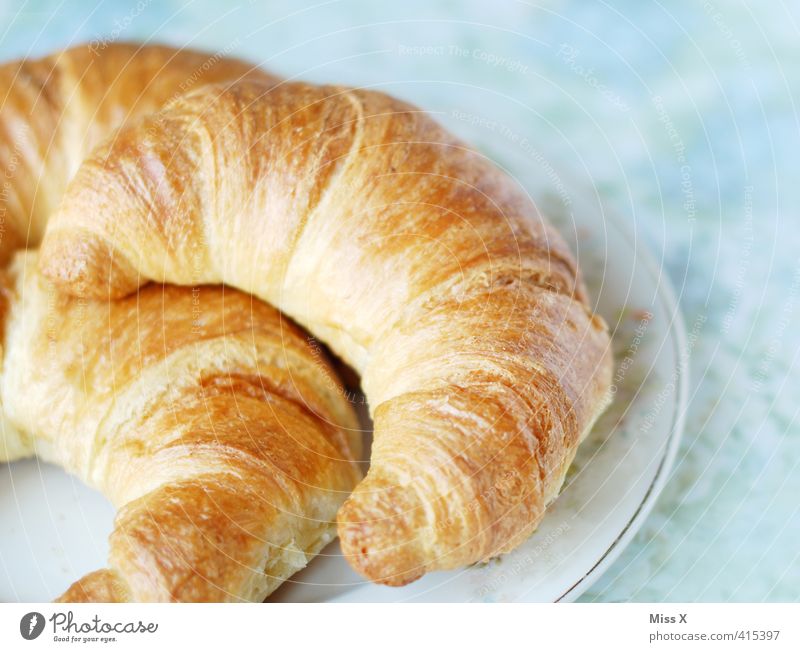 croissant Food Dough Baked goods Croissant Nutrition Breakfast To have a coffee Plate Delicious Sweet Breakfast table Morning break crisp Colour photo