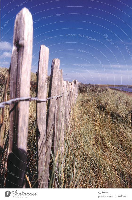 East of England East coast Yorkshire Fence Far-off places Deep