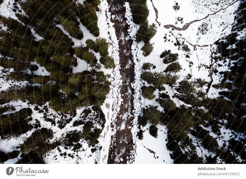 Frozen river in forest in winter frozen woods coniferous snow wintertime landscape evergreen germany austria amazing frost scenic scenery season tree