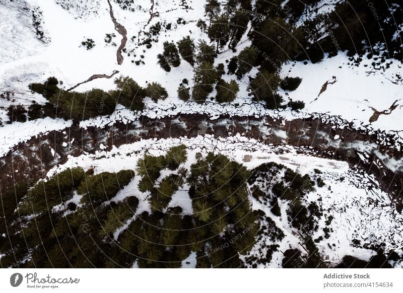 Frozen river in forest in winter frozen woods coniferous snow wintertime landscape evergreen germany austria amazing frost scenic scenery season tree