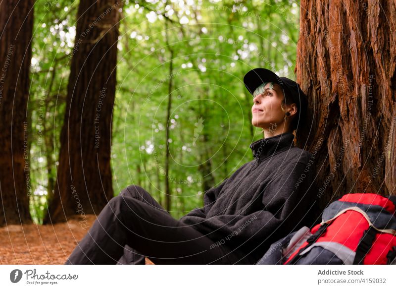 Relaxed traveler near tree in woods huge forest relax explorer backpack trekking natural monument of sequoias cantabria spain hike vacation trip nature journey