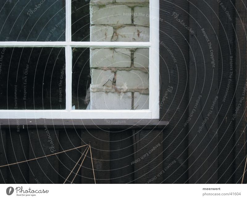 scheuneneinblick Barn Window Wood Wall (building) Window frame Architecture Glass Frame