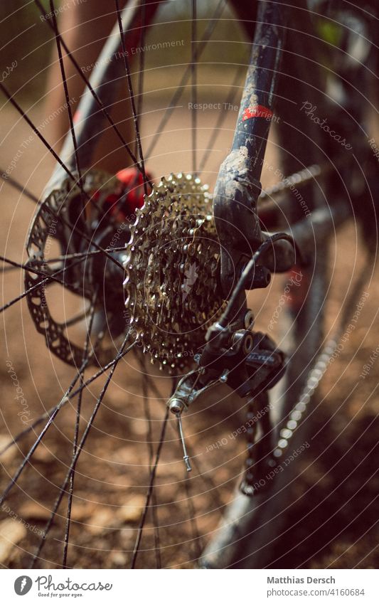 Mountain bike in detail Bicycle Leisure and hobbies Cycling Detail spoke wheel Mountain biking Sports