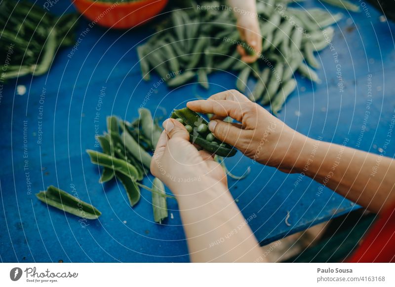 Close up hands peeling peas Peeling Peas Colour photo Nutrition background fresh food Vegetable healthy cooking Green Organic produce Vegetarian diet Food Fresh