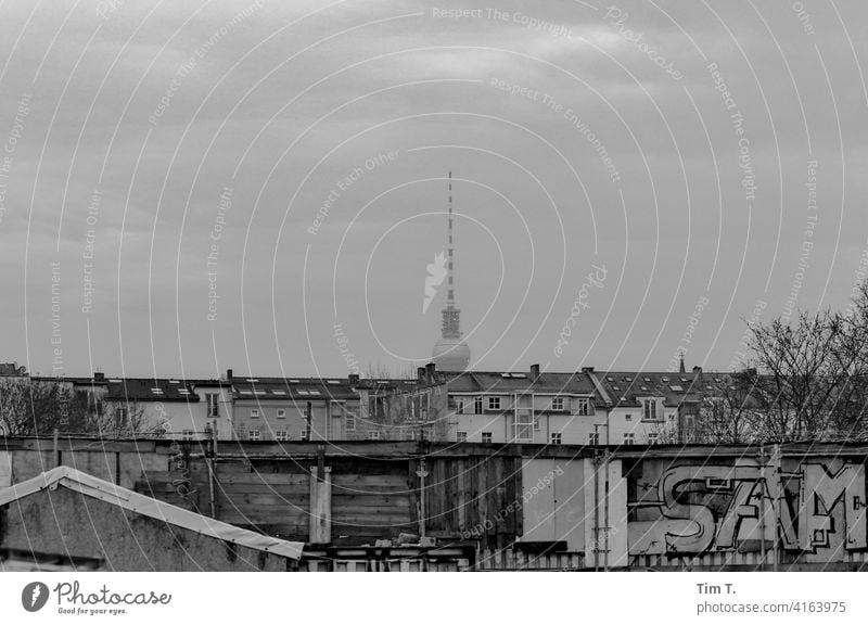 Prenzlauer Berg seen from Mauerpark wall park Television tower Graffiti b/w Exterior shot Black & white photo Architecture Town Berlin Capital city Downtown
