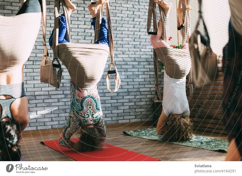 A group of young female yogis doing aerial yoga in hammocks at a fitness club. Aero yoga, sports, fitness aero exercise asana woman yoga training pose