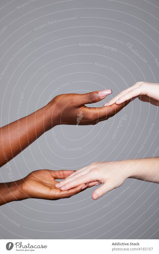 Multiracial women touching hands in studio equal race greeting gesture tender friendship multiethnic concept multiracial diverse together support agree sign