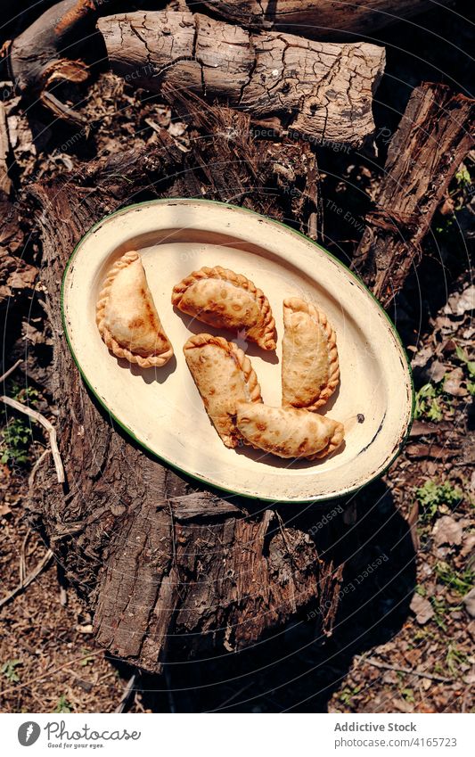 Tasty homemade pasties on plate in forest pasty hot lunch serve nature delicious crust food sunny woods appetizing fresh cuisine gourmet nutrition meal tasty