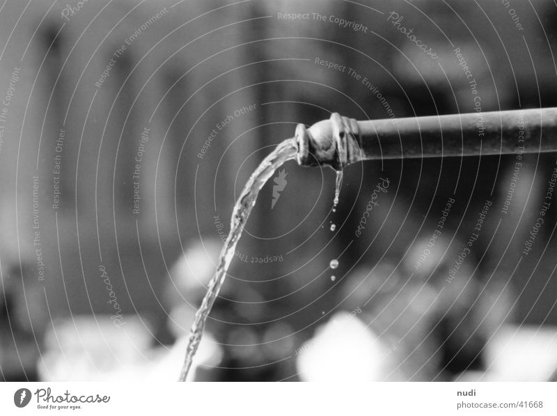 Our daily water Well Black White Blur Linearity Drops of water Jet of water Photographic technology Detail